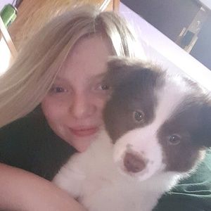 Meet your Posher, Casey